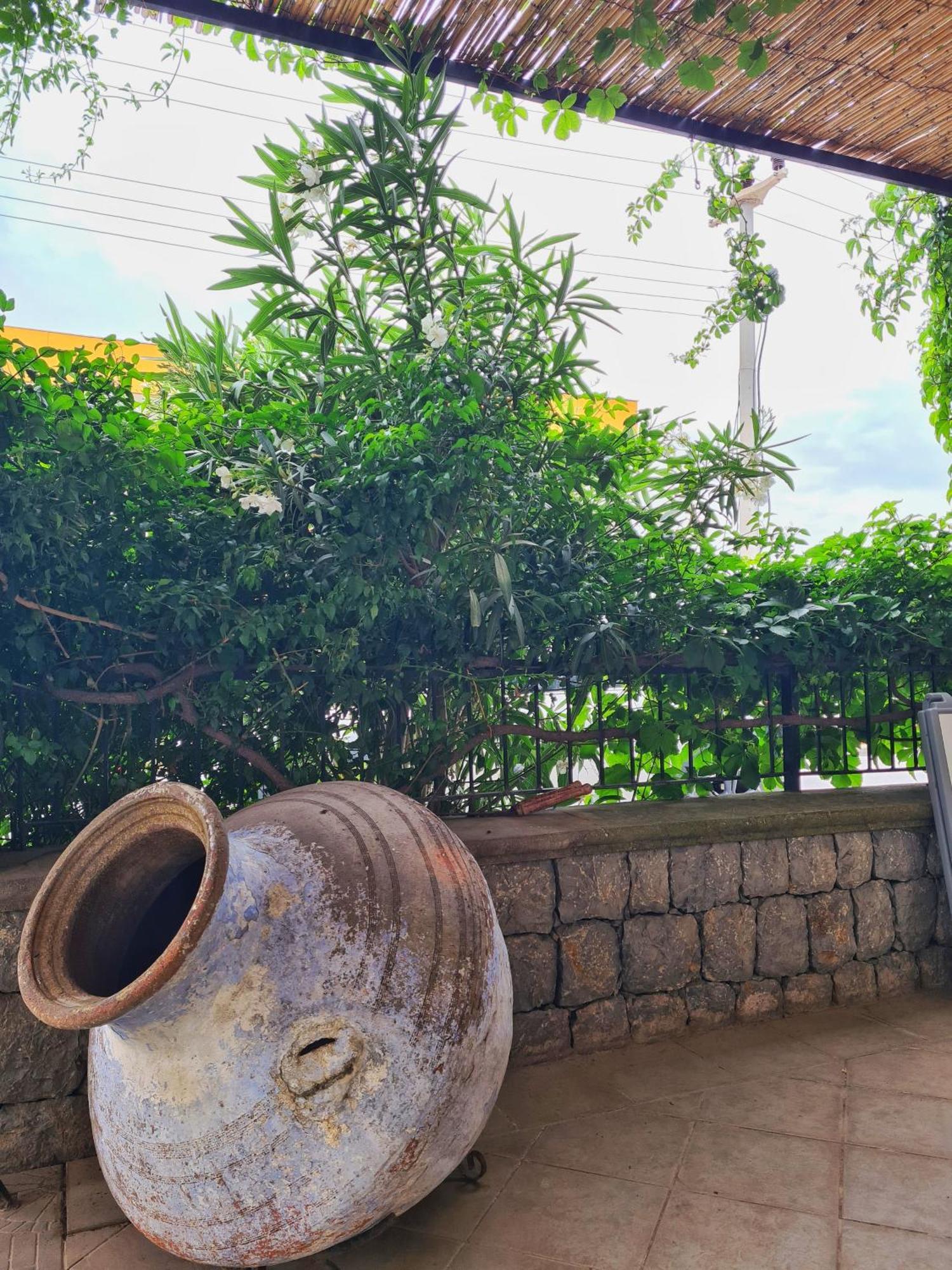 Fora Apart Otel Çeşme エクステリア 写真